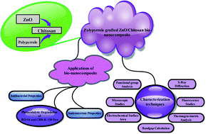 Graphical abstract: Zinc oxide-decorated polypyrrole/chitosan bionanocomposites with enhanced photocatalytic, antibacterial and anticancer performance