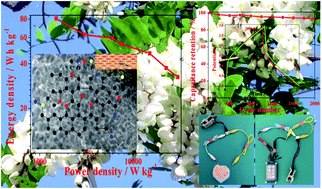 Graphical abstract: N, O and P co-doped honeycomb-like hierarchical porous carbon derived from Sophora japonica for high performance supercapacitors
