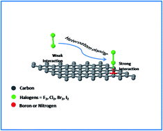 Graphical abstract: Halogenation of graphene triggered by heteroatom doping
