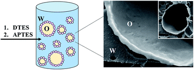 Graphical abstract: In situ interfacial surface modification of hydrophilic silica nanoparticles by two organosilanes leading to stable Pickering emulsions