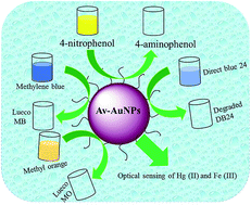Graphical abstract: Persea americana seed extract mediated gold nanoparticles for mercury(ii)/iron(iii) sensing, 4-nitrophenol reduction, and organic dye degradation