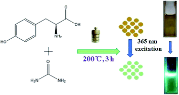 Graphical abstract: Co2+ detection, cell imaging, and temperature sensing based on excitation-independent green-fluorescent N-doped carbon dots