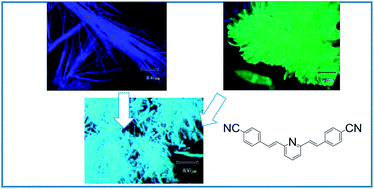 Graphical abstract: A slight bluish-white fluorescence from E,E-2,6-bis(4-cyanostyryl)pyridine pristine crystals