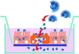 Graphical abstract: Bottom-up self-assembly of heterotrimeric nanoparticles and their secondary Janus generations