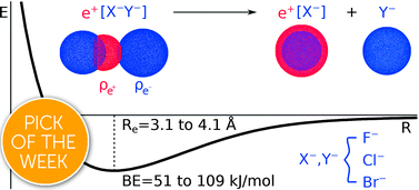 Graphical abstract: Covalent bonds in positron dihalides