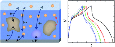 Graphical abstract: Understanding the characteristics of conducting polymer-redox biopolymer supercapacitors