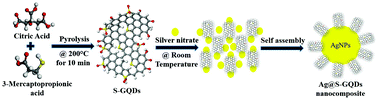 Graphical abstract: Synthesis, characterization and investigation of synergistic antibacterial activity and cell viability of silver–sulfur doped graphene quantum dot (Ag@S-GQDs) nanocomposites