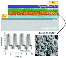 Graphical abstract: High stress-driven voltages in net-like layer-supported organic–inorganic perovskites