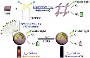 Graphical abstract: The construction of an AIE-based controllable singlet oxygen generation system directed by a supramolecular strategy