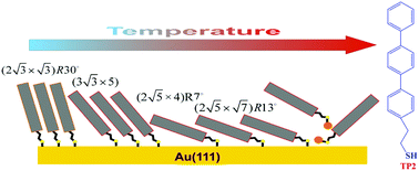 Graphical abstract: Annealing effect for self-assembled monolayers formed from terphenylethanethiol on Au(111)
