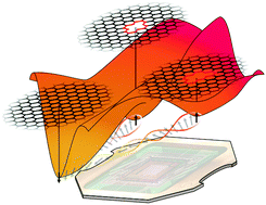 Graphical abstract: Vacancies in graphene: an application of adiabatic quantum optimization