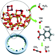 Graphical abstract: Ultrafine copper nanoclusters and single sites for Fenton-like reactions with high atom utilities