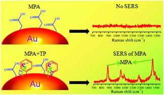 Graphical abstract: Molecular hot spots in surface-enhanced Raman scattering