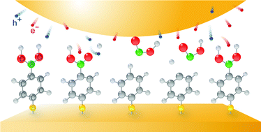 Graphical abstract: Plasmon-driven protodeboronation reactions in nanogaps