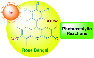 Graphical abstract: Recent applications of Rose Bengal catalysis in N-heterocycles: a short review