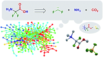 Graphical abstract: Discovery of a synthesis method for a difluoroglycine derivative based on a path generated by quantum chemical calculations