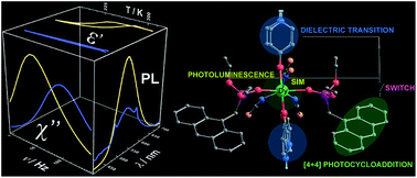 Graphical abstract: Thermo- and light-triggered reversible interconversion of dysprosium–anthracene complexes and their responsive optical, magnetic and dielectric properties