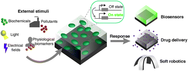 Graphical abstract: Stimuli-responsive engineered living materials