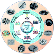 Graphical abstract: Transition metal phosphides: new generation cathode host/separator modifier for Li–S batteries