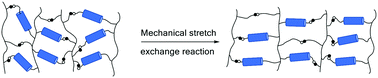 Graphical abstract: Recent progress in dynamic covalent chemistries for liquid crystal elastomers