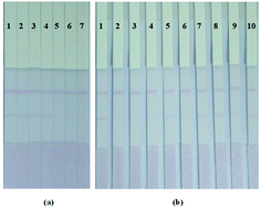 Graphical abstract: A gold-based strip sensor for the detection of benzo[a]pyrene in edible oils