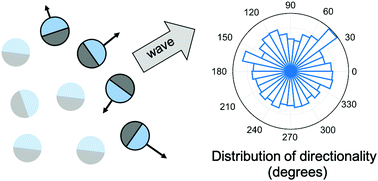 Graphical abstract: “Ballistic” waves among chemically oscillating micromotors