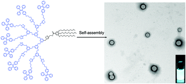 Graphical abstract: Size-tunable fluorescent dendrimersomes via aggregation-induced emission