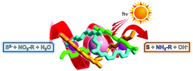 Graphical abstract: Dye-loaded metal–organic helical capsules applied to the combination of photocatalytic H2S splitting and nitroaromatic hydrogenation