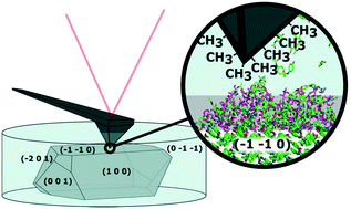 Graphical abstract: In situ nanoscale visualization of solvent effects on molecular crystal surfaces