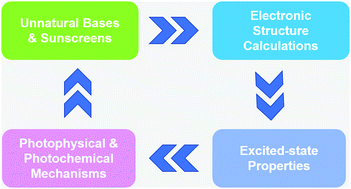 Graphical abstract: Mechanistic photophysics and photochemistry of unnatural bases and sunscreen molecules: insights from electronic structure calculations