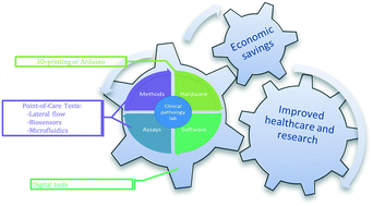 Graphical abstract: Use of some cost-effective technologies for a routine clinical pathology laboratory