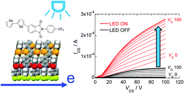 Graphical abstract: Synthesis and electron-transport properties of N-trifluoromethylphenyl-phthalimides containing selenophene substituents