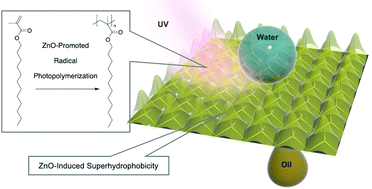 Graphical abstract: Photopolymerized superhydrophobic hybrid coating enabled by dual-purpose tetrapodal ZnO for liquid/liquid separation