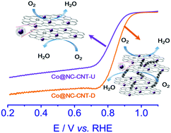 Graphical abstract: Expanding the interlamellar spacing of biomass-derived hybrids with intercalated nanotubes for enhanced oxygen reduction reaction