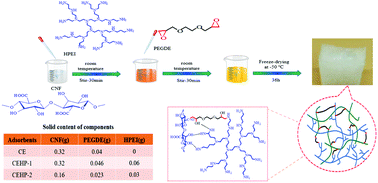 Graphical abstract: Preparation and adsorption properties of hyperbranched polyethyleneimine-cellulose nanofiber aerogel