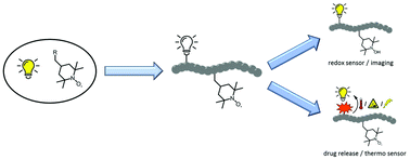 Graphical abstract: Chemical design and synthesis of macromolecular profluorescent nitroxide systems as self-reporting probes