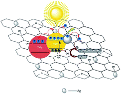 Graphical abstract: Adsorption and photocatalytic degradation of gas-phase UDMH under simulated sunlight by AgBr/TiO2/rGA