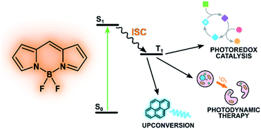 Graphical abstract: Design of BODIPY dyes as triplet photosensitizers: electronic properties tailored for solar energy conversion, photoredox catalysis and photodynamic therapy