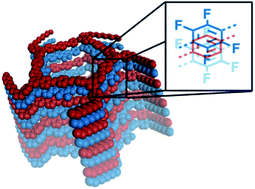 Graphical abstract: Arene–perfluoroarene interactions confer enhanced mechanical properties to synthetic nanotubes