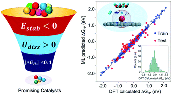 Graphical abstract: Machine learning assisted high-throughput screening of transition metal single atom based superb hydrogen evolution electrocatalysts