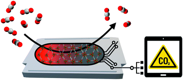 Graphical abstract: Metal–organic framework based systems for CO2 sensing