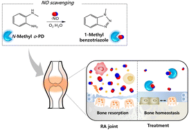 Graphical abstract: Nitric oxide scavengers based on o-phenylenediamine for the treatment of rheumatoid arthritis