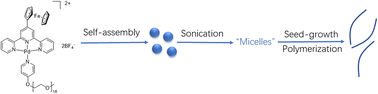 Graphical abstract: Seeded-growth self-assembled polymerization of a ferrocene-bearing palladium(ii)-terpyridyl bimetallic complex