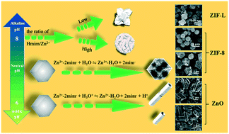 Graphical abstract: Solvent-induced phase transformations of ZIF-L to ZIF-8 and their derivatives' gas-sensing properties