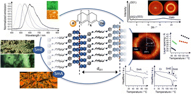 Graphical abstract: Merging liquid crystalline self-assembly and linear optical properties of merocyanines via tailored donor units