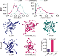 Graphical abstract: Molecular insights into the oligomerization dynamics and conformations of amyloidogenic and non-amyloidogenic amylin from discrete molecular dynamics simulations