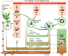 Graphical abstract: Chemical recycling of bioplastics: technical opportunities to preserve chemical functionality as path towards a circular economy