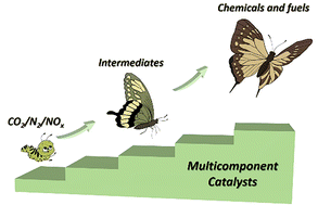 Graphical abstract: Multicomponent catalyst design for CO2/N2/NOx electroreduction