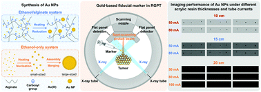 Graphical abstract: Green and effective synthesis of gold nanoparticles as an injectable fiducial marker for real-time image gated proton therapy