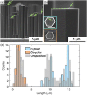 Graphical abstract: Complications in silane-assisted GaN nanowire growth